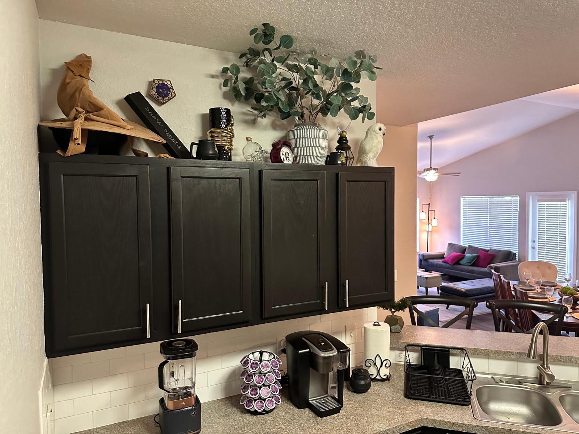 Harry Potter Themed Luxury Apartment 3Bd 2Bth - Universal Studios 奥兰多 外观 照片